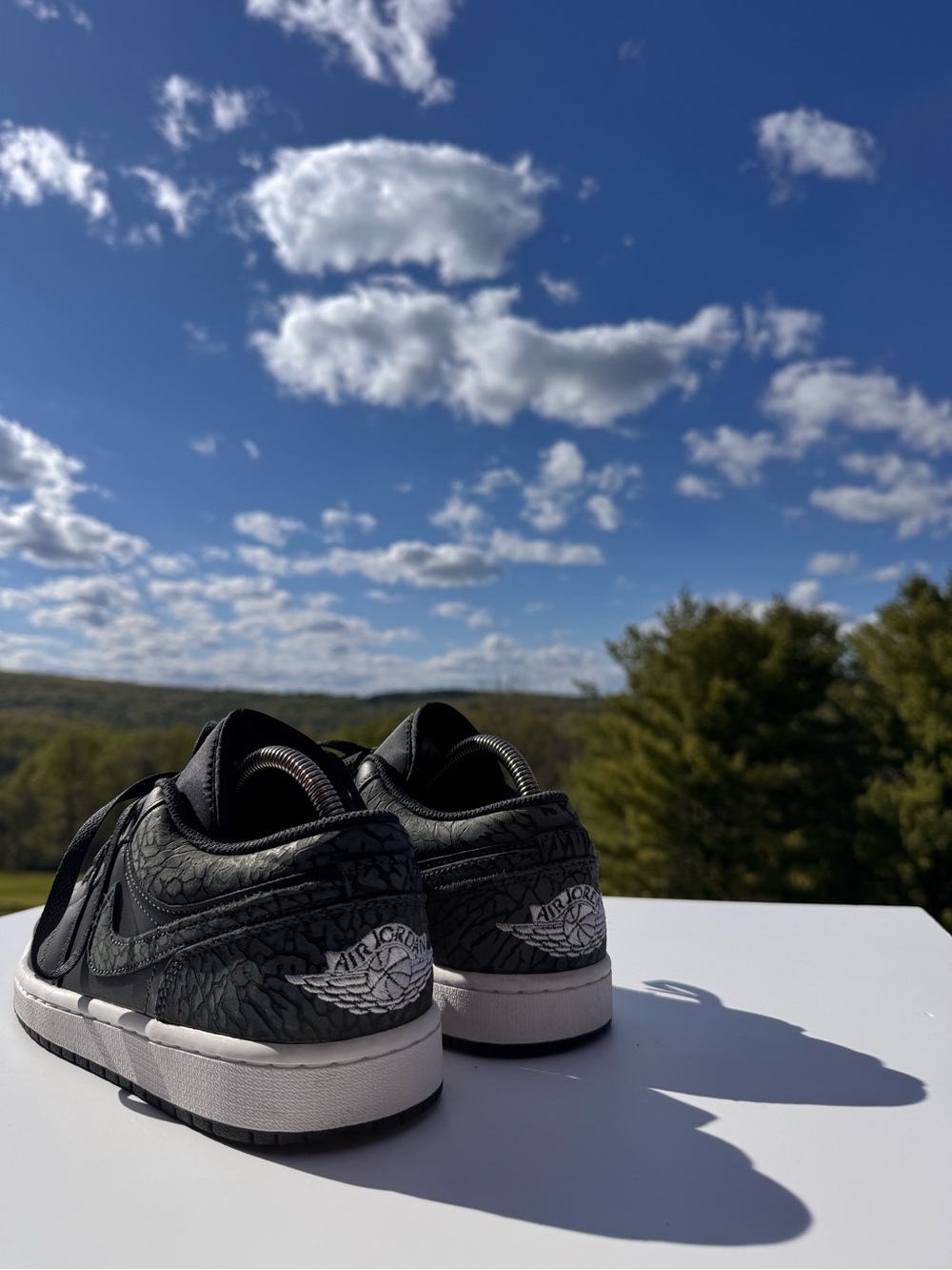 Air Jordan 1 Low Black Elephant Print Mens Sneakers Size 9.5